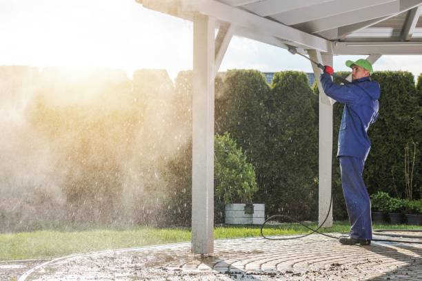 Best Fence Cleaning  in Shannon, MS